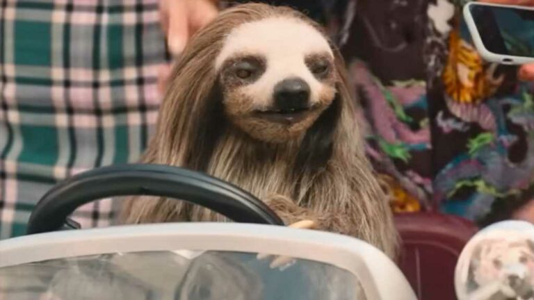 Deadly-Sloth-Wielding-Pink-Loofah-Wreaks-Havoc-on-Sorority-in-New-Slasher-Slotherhouse.jpg