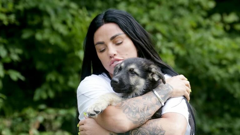 Katie-Price-is-accused-of-aposhittingapos-her-new-puppy-in-a-TikTok-Live.jpg