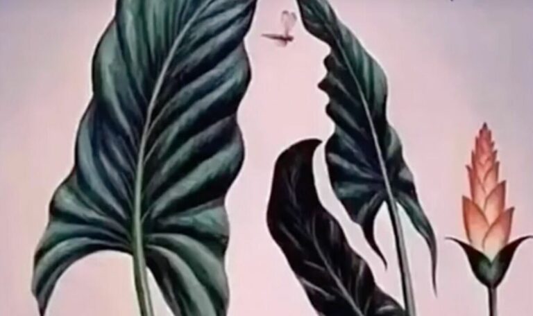 Viewers-in-tears-as-optical-illusion-determines-how-others-view-them.jpg