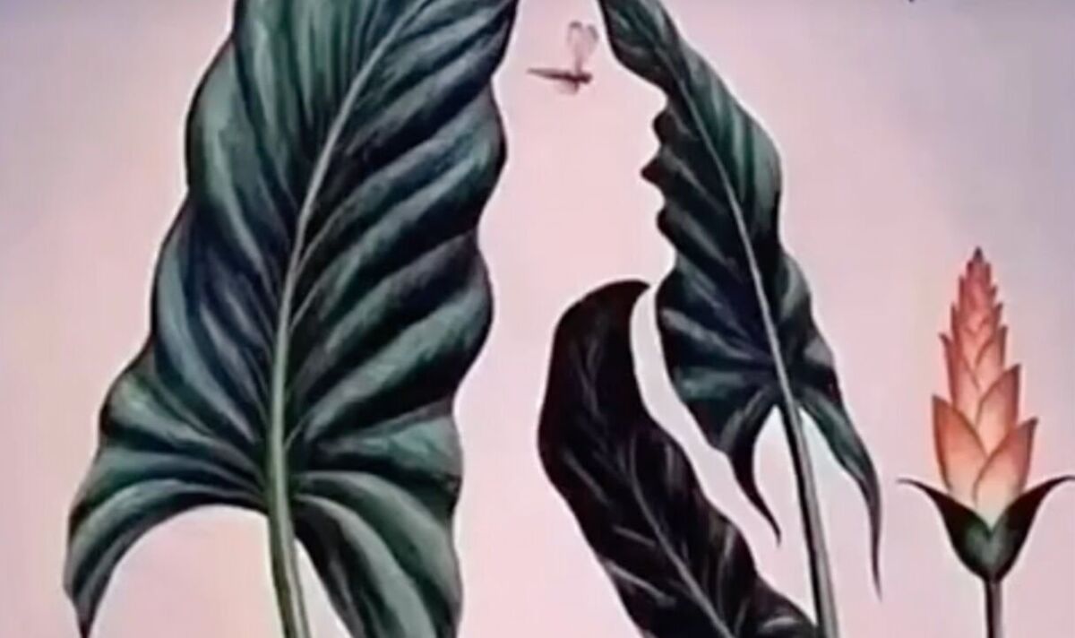 Viewers-in-tears-as-optical-illusion-determines-how-others-view-them.jpg