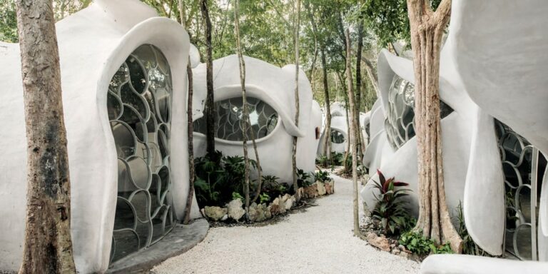 AI-Meets-Mayan-Jungle-Art-in-SFER-IK039s-100000-USD-Challenge.jpg