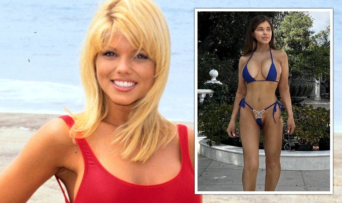 Baywatch-babe-Donna-DErrico-unrecognisable-as-she-poses-in-barely-there-bikini.jpg