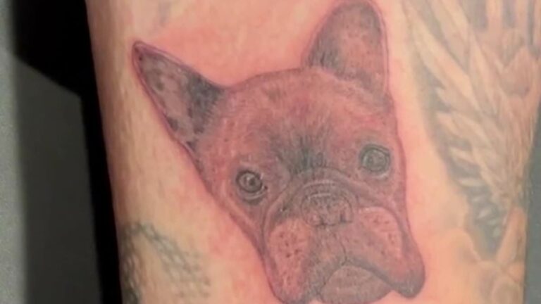 Can-you-guess-which-pet-tattoo-belongs-to-which-celebrity.jpg