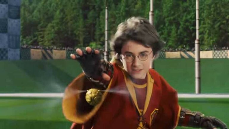 Harry-Potter-superfan-reveals-he-had-a-disappointing-Quidditch-record.jpg