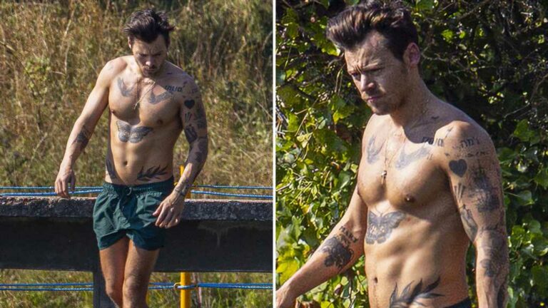Harry-Styles-Shows-Off-Ripped-Body-in-English-Duck-Pond.jpg