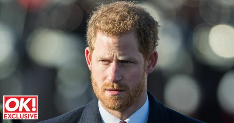 Harrys-public-attacks-did-harm-The-Queen-was-fed-up-before-she-died.jpg