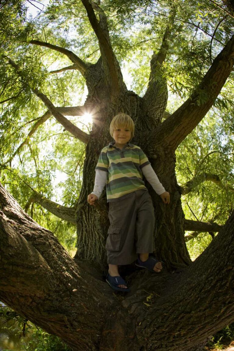 How-being-a-‘helicopter-parent-is-putting-your-childs-health-at-risk-scientists-discover-The-Sun.jpg