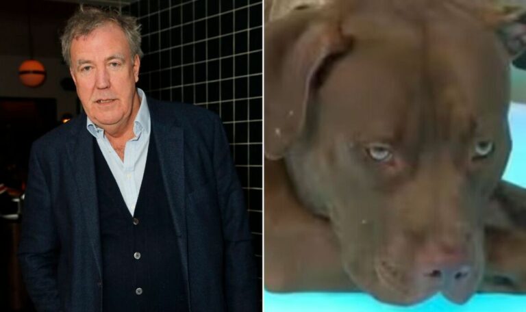 Jeremy-Clarkson-declares-himself-the-voice-of-reason-in-dangerous-dogs-debate.jpg