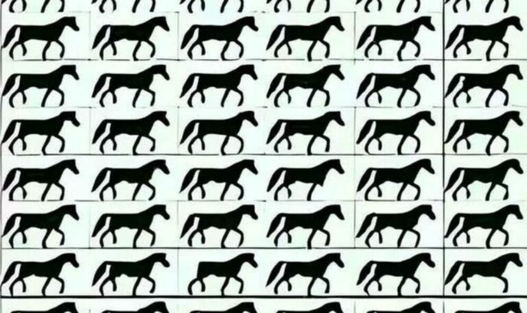 Only-those-with-a-sharp-mind-and-clear-vision-can-spot-the-horse-with-no-tail.jpg