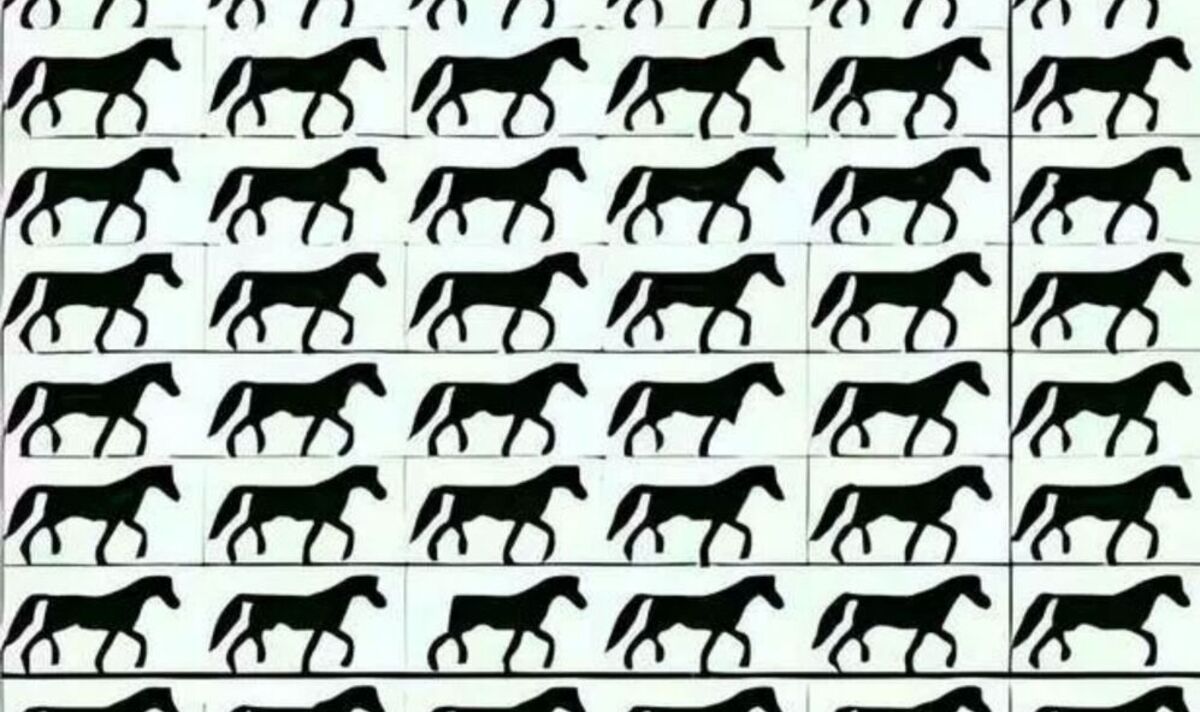 Only-those-with-a-sharp-mind-and-clear-vision-can-spot-the-horse-with-no-tail.jpg