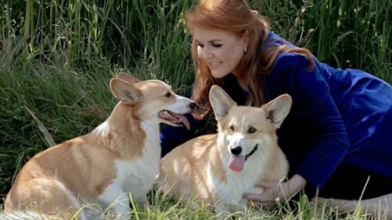Sarah-Ferguson-takes-Queenaposs-Corgi-for-a-walk.jpg