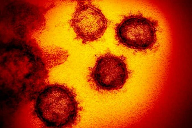 Urgent-warning-to-anyone-whos-had-Covid-over-increased-risk-of-killer-blood-infection-The-Sun.jpg