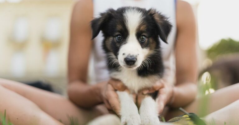 Woman-shocked-as-mother-in-law-tries-to-steal-her-puppy-and-gift-it-to-daughter.jpg