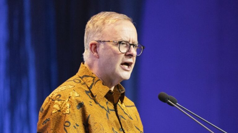 ‘Underweight-and-stagnant-Australia-urged-to-lift-South-East-Asia-focus.jpg