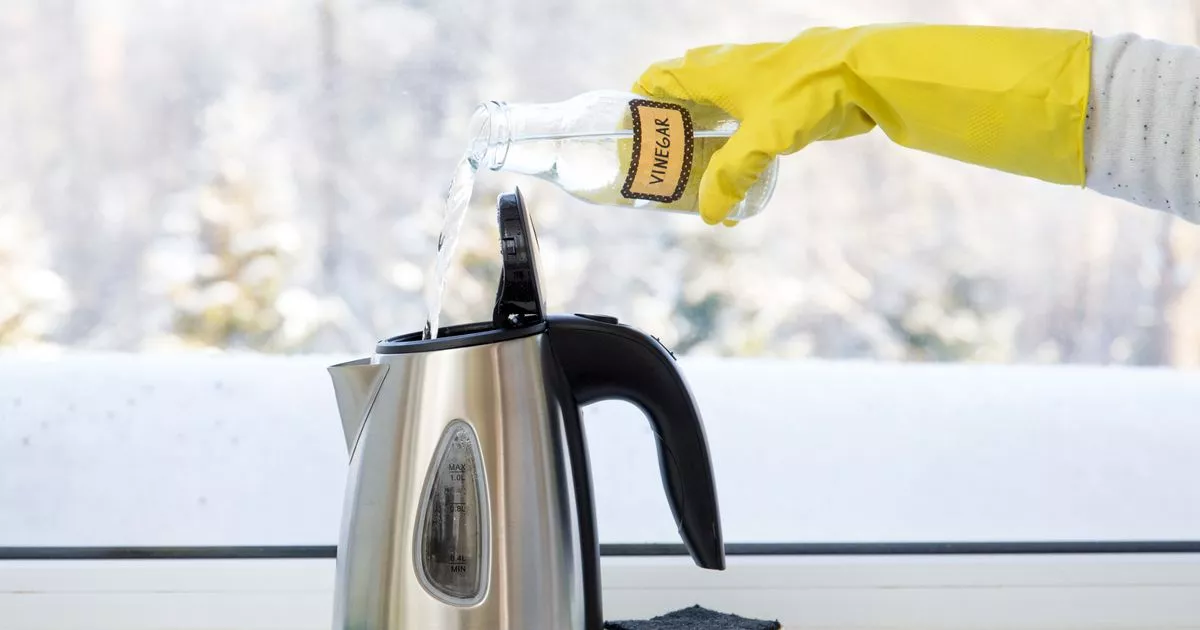 Cheap-ingredient-rids-stubborn-kettle-limescale-–-and-its-in-most-cupboards.jpg