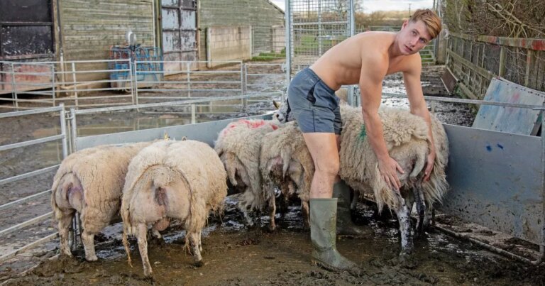 Love-Islands-Will-Young-turns-his-back-on-showbiz-parties-to-focus-on-farming.jpg