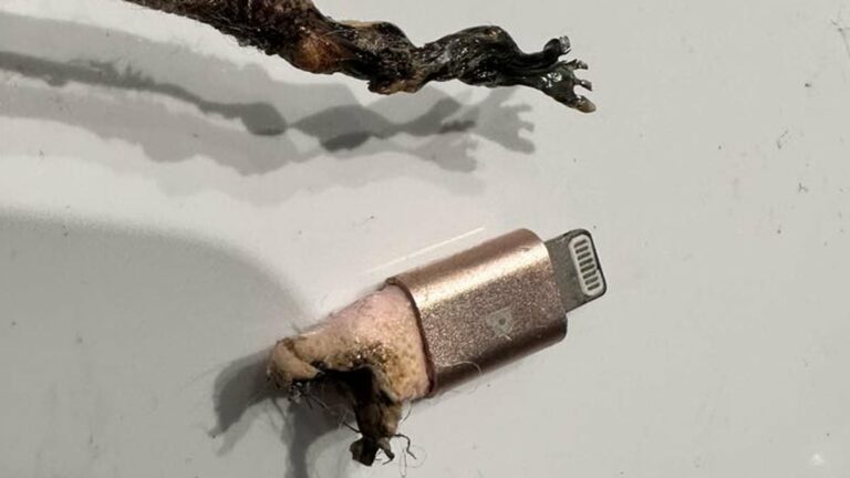 Mumaposs-warning-after-iPhone-charger-almost-sets-her-house-on-fire.jpg
