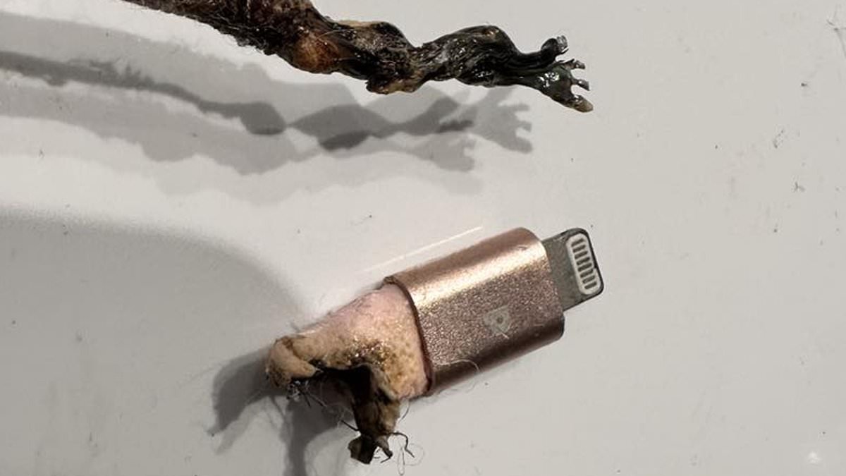 Mums-warning-after-iPhone-charger-almost-sets-her-house-on-fire.jpg
