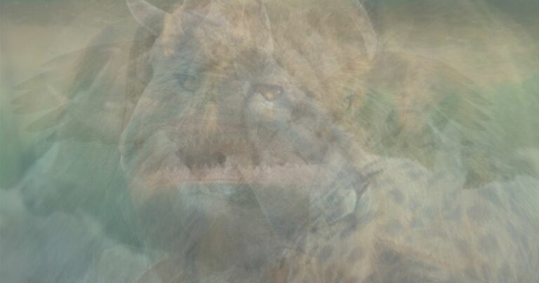 Optical-illusion-exposes-personality-traits-based-on-what-animal-you-spot-first.jpg