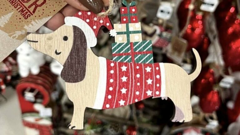 The-Range-shoppers-are-left-aposhowlingapos-over-aposrudeapos-Christmas-decoration.jpg