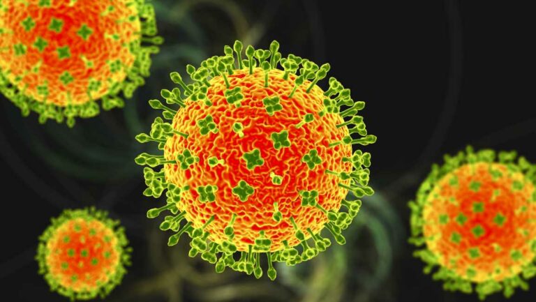 Urgent-warning-as-tourists-at-tropical-hotspot-are-screened-for-killer-Nipah-bat-virus-with-75-fatality-rate-The-Sun.jpg