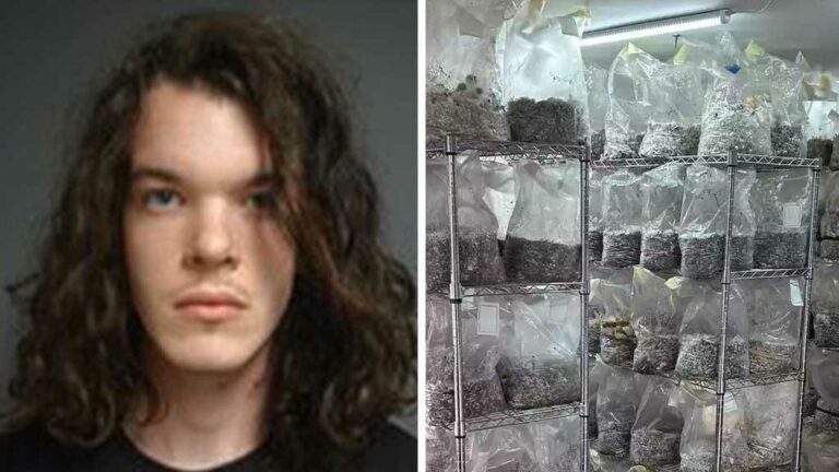 8.5-Million-Worth-of-Magic-Mushrooms-Seized-in-21-Year-Old039s-Home-Police.jpg