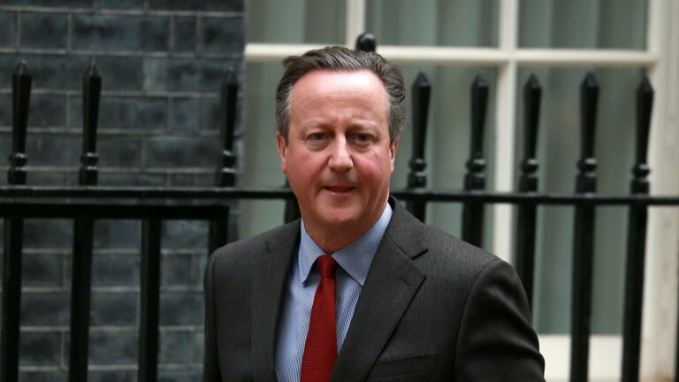 ANDREW-PIERCE-Is-Lord-Dave-counting-the-cost-of-his-new-role.jpg