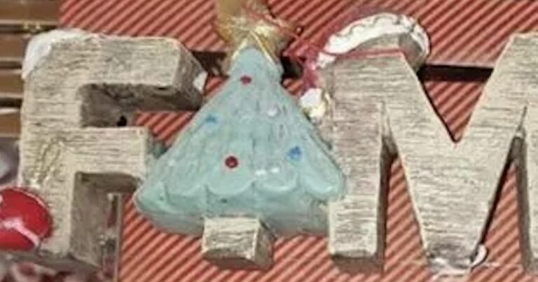 BampM-shopper-left-in-stitches-after-spotting-rude-spelling-fail-on-Christmas-dec.jpg