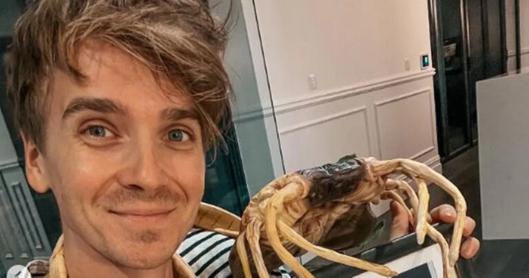 Dianne-Buswell-and-Joe-Sugg-leave-Strictly-fans-screaming-over-update.jpg