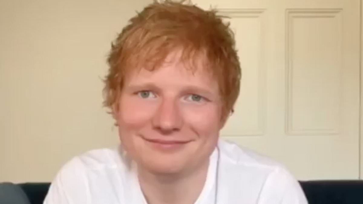 Ed-Sheeran-flogs-his-old-cat-hair-covered-clothes-for-charity.jpg