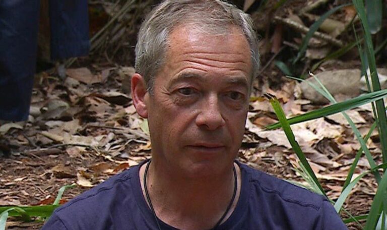 Im-A-Celebritys-Nigel-Farage-details-being-unconscious-after-plane-crash.jpg