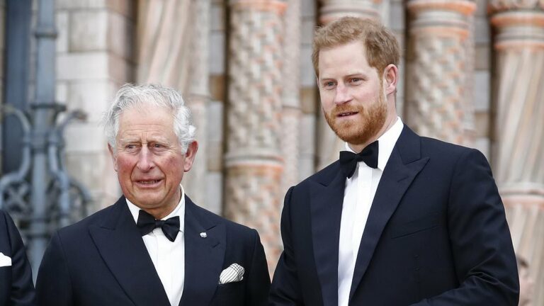 Prince-Harry-and-the-King-still-aposdonapost-speak-muchapos.jpg