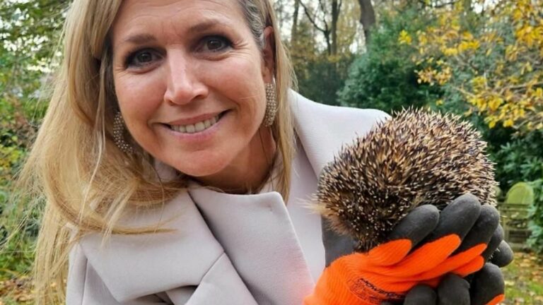 Queen-Maxima-of-the-Netherlands-adopts-three-hedgehogs.jpg