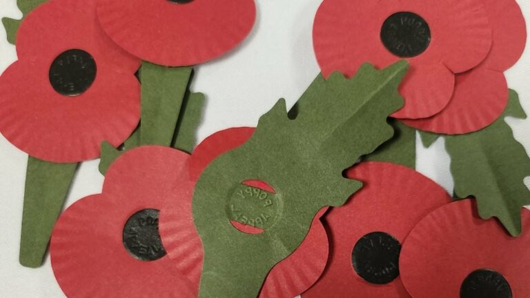 Row-breaks-out-as-flimsy-plastic-free-Poppies.jpg