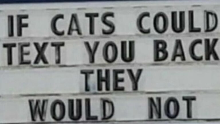 These-hilarious-signs-are-bound-to-stop-anyone-in-their-tracks.jpg