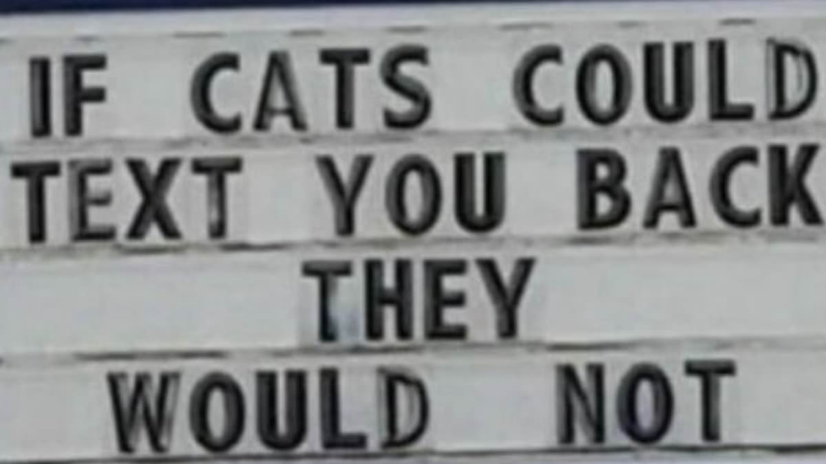 These-hilarious-signs-are-bound-to-stop-anyone-in-their-tracks.jpg