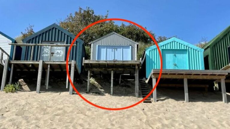 Tiny-beach-shack-goes-on-the-market-for-185000.jpg