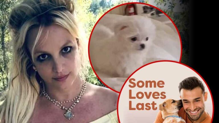 Britney-Spears039-Ex-Sam-Asghari-Has-New-Gig-with-PETA-Appears-To-Take-Shot.jpg
