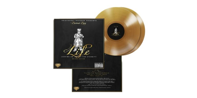 Burna-Boy-Releases-2013-Debut-039L.I.F.E039-As-Double-LP-Vinyl-Set.jpg