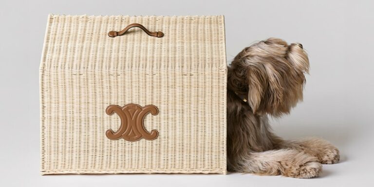 CELINE-Unveils-Luxurious-Collection-of-Dog-Accessories.jpg