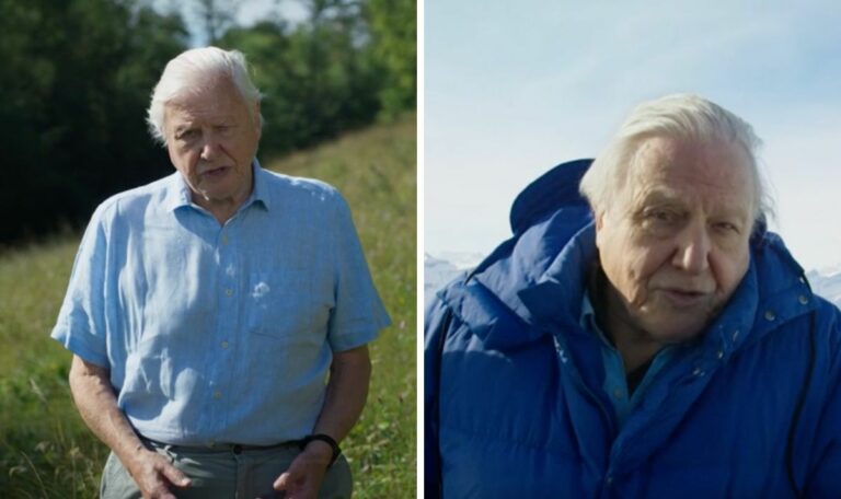 David-Attenborough-show-at-risk-of-axing-as-BBC-make-further-cutbacks.jpg