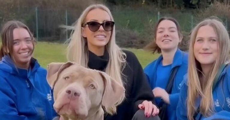 Faye-Winter-claims-shes-received-‘hate-and-‘lost-work-after-slamming-XL-Bully-ban.jpg