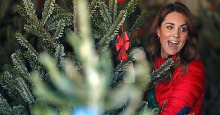 How-the-Royals-gave-us-Christmas-trees-and-the-surprising-story-behind-it.jpg