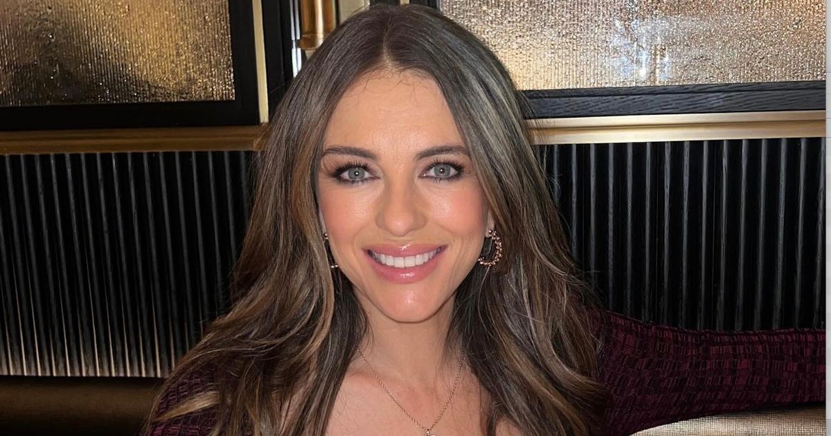 Liz-Hurley-sends-fans-wild-as-she-poses-in-silky-gown-and-plunging-bra.jpg
