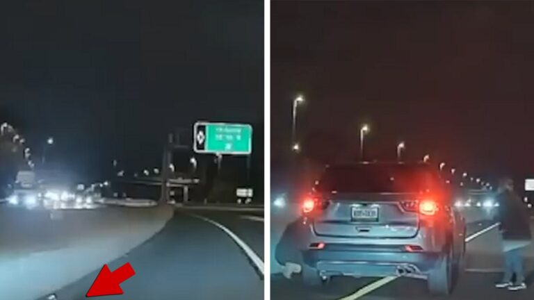 Runaway-Dog-Makes-A-Dash-For-It-Down-Highway-Rescue-On-Camera.jpg