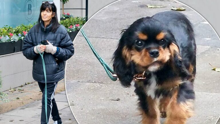 Strictly-Come-Dancingaposs-Claudia-Winkleman-has-a-new-pup.jpg