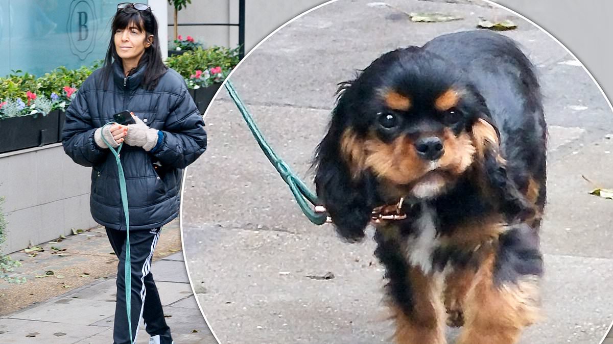 Strictly-Come-Dancingaposs-Claudia-Winkleman-has-a-new-pup.jpg